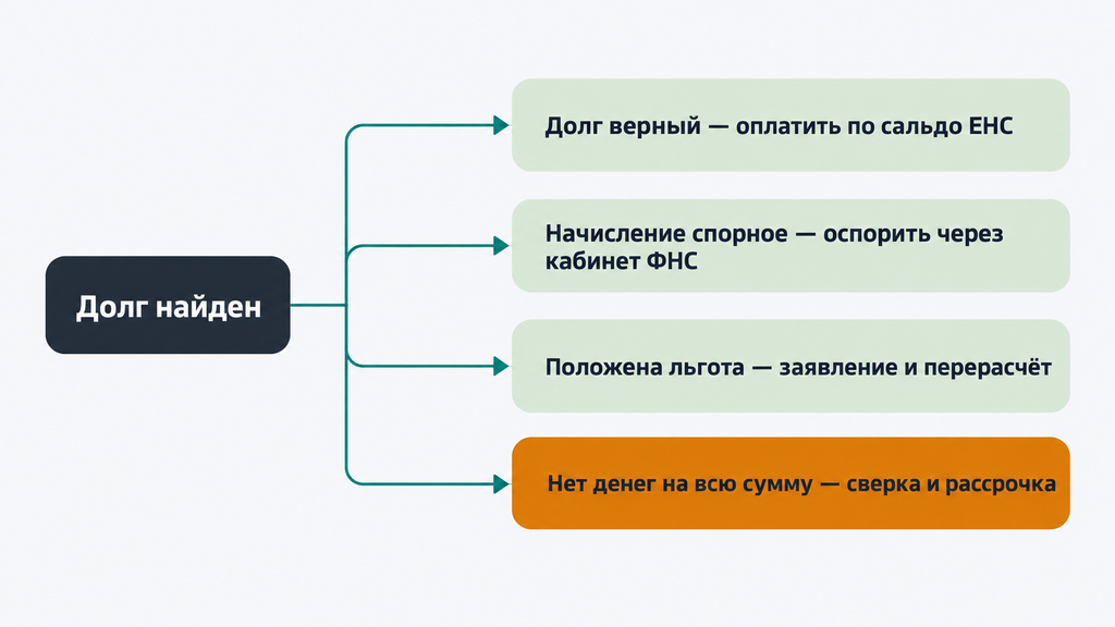 Варианты действий при найденной налоговой задолженности: оплата, оспаривание, льгота и рассрочка