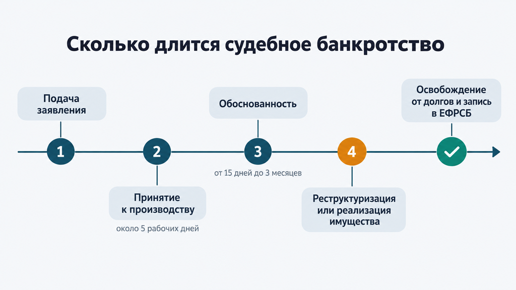 Таймлайн судебного банкротства в России от подачи заявления до списания долгов с этапами и ориентировочными сроками